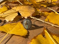 Image 1 of Royston Ribbon Turquoise (light blue) Ring