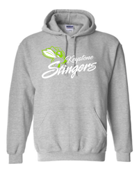 Image 1 of Keystone Stingers Hoodie Design 2