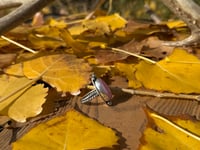 Image 2 of Pink Conch silver ring