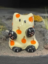 Ghosty cat- black with pumpkins