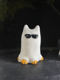 Ghosty cat- orange with sunglasses