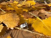 Image 2 of Indian Head Ring 