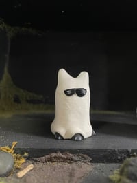 Ghosty cat- black with sunglasses