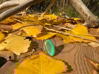 Image 2 of Blue/Green Royston Turquoise Ring