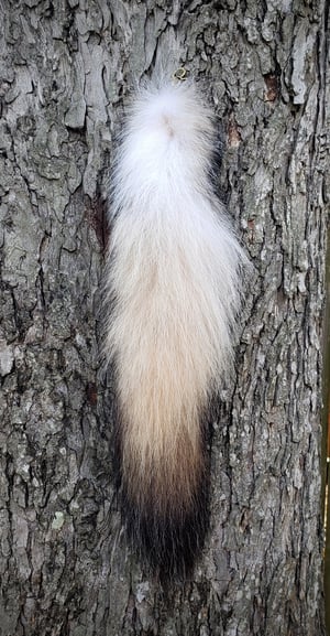 Image of Real Wolf Tail
