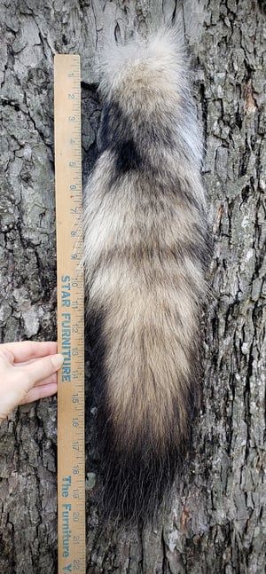 Image of Real Wolf Tail