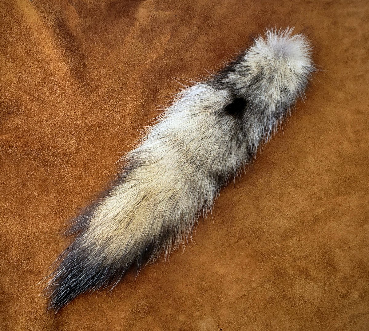 Image of Real Wolf Tail
