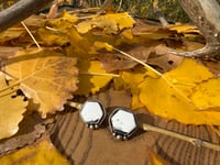 Image 1 of White Buffalo earrings
