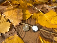 Image 2 of White Buffalo earrings