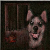 Image 2 of Smiledog.jpg