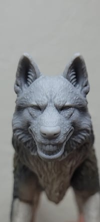 Image 1 of Smiledog.jpg