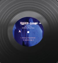 Image 4 of Aaron Dilloway 'Bhoot Ghar: Sounds of the Kathmandu Horror House ' 12" vinyl {PREORDER}
