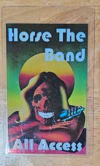 Image 1 of All Access Laminate, June 2025 tour