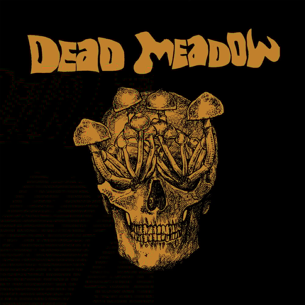 Image of DM Mushroom Skull Tee