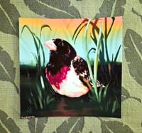 Image 1 of Rose-Breasted Grosbeak 6x6 Print