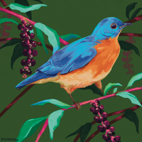 Eastern Bluebird with Pokeweed 6x6 Print