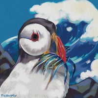 Image 2 of Atlantic Puffin 6x6 Print