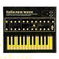 Italia New Wave: Minimal Synth, No Wave, & Post Punk Sounds From The '80s Italian Underground LP 