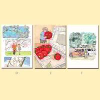 Image 3 of Mini Prints