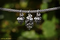 Image 6 of Oak Leaves