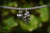 Image 3 of Oak Leaves