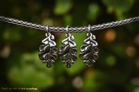 Image 5 of Oak Leaves
