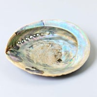 Image 1 of Grand Vide-poche coquillage vintage 1970 en coquille d’ormeau - Abalone Paua du Pacifique