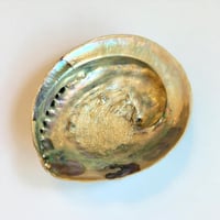 Image 4 of Grand Vide-poche coquillage vintage 1970 en coquille d’ormeau - Abalone Paua du Pacifique