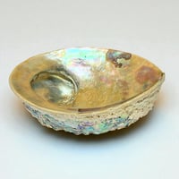 Image 7 of Grand Vide-poche coquillage vintage 1970 en coquille d’ormeau - Abalone Paua du Pacifique