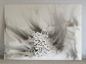 Ignis #5