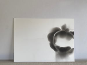 Ignis  #2