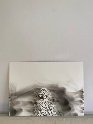Ignis #3