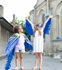 Image 1 of Celestial Dragon Soft Wings