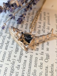 Image 1 of Soffione 🐳