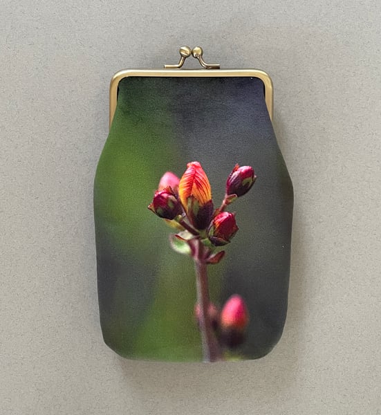 Image of St. Johns wort, velvet glasses case with kisslock frame