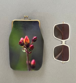 Image of St. Johns wort, velvet glasses case with kisslock frame