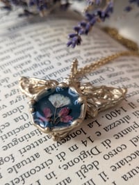 Image 3 of Nebbiolina ed Erica🦋