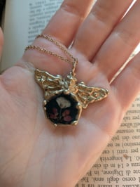 Image 4 of Nebbiolina ed Erica🦋