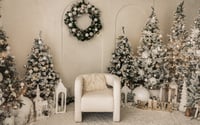 Image 4 of Sunday  Oct 19th  Instudio Holiday Mini sessions