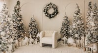 Image 3 of  Sat Oct 25th Instudio Holiday Mini sessions