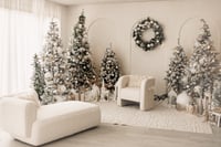 Image 1 of Sunday Oct 26th  Instudio Holiday Mini sessions