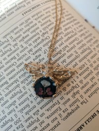 Image 5 of Nebbiolina ed Erica🦋