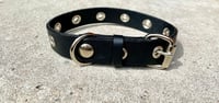 Image 1 of the wallace & grommet dog collar