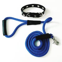 Image 4 of the wallace & grommet dog collar