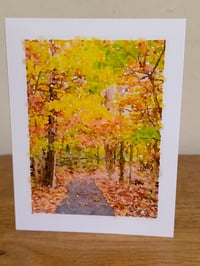 Image 2 of Fall and Winter notecards