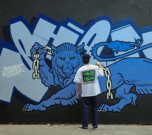 VOILA VOILA  golden ticket pack