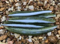 Image 2 of SENKO  Worm  5" BASS MAGIC