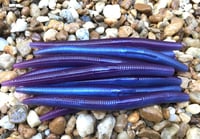 Image 1 of SENKO  Worm  5" GRAPE APE