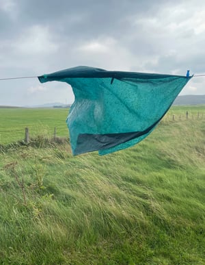 Image of Seashell printed velvet coin purse with indigo silk lining