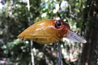 Image 12 of  Custom Airbrushed Crankbait 198